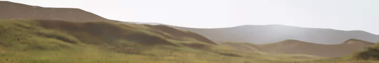 Collines et prairies vallonnées