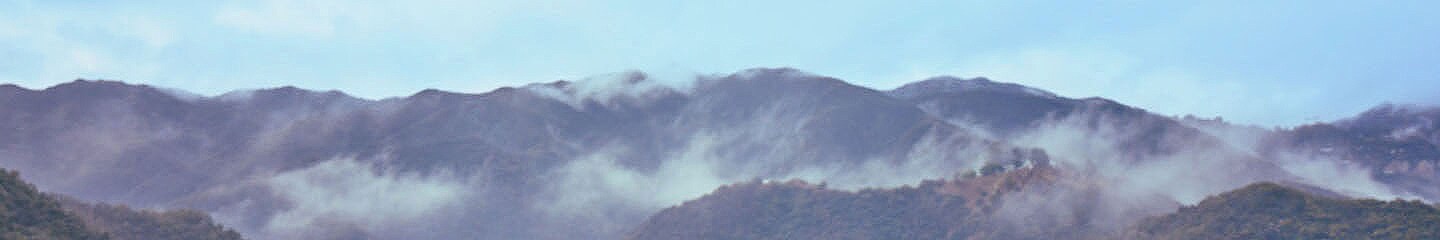 Un paysage de colline couvert de brume