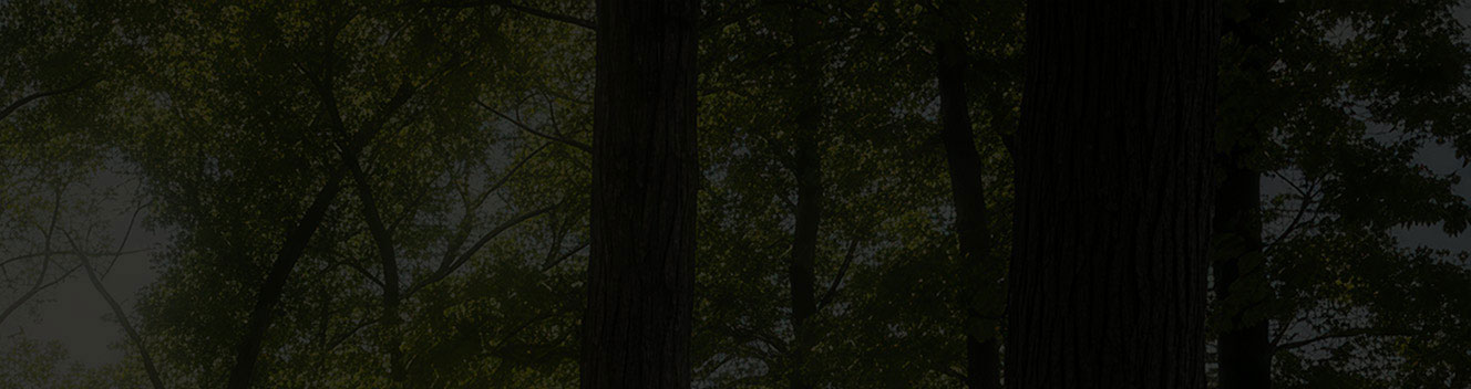 Le modèle 2026 F-150® Platinum® attelé à une remorque de bateau, stationnée près d’une maison.