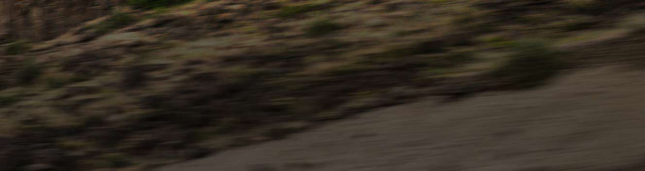 Paysage vallonné accidenté