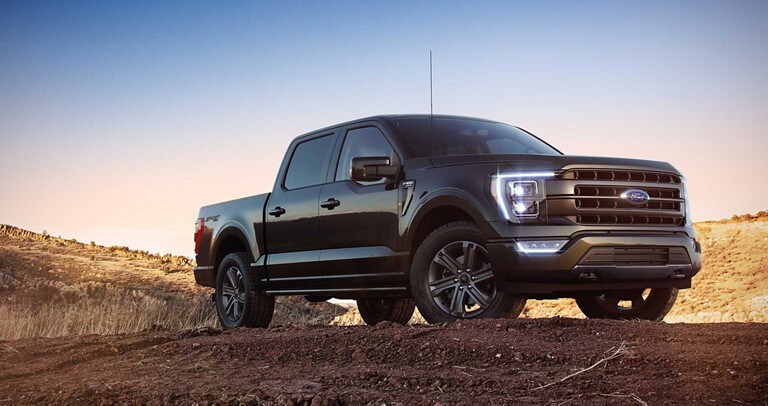 A 2021 Ford F One Fifty parked on top of a mound of dirt