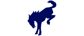 Logo du Ford Bronco