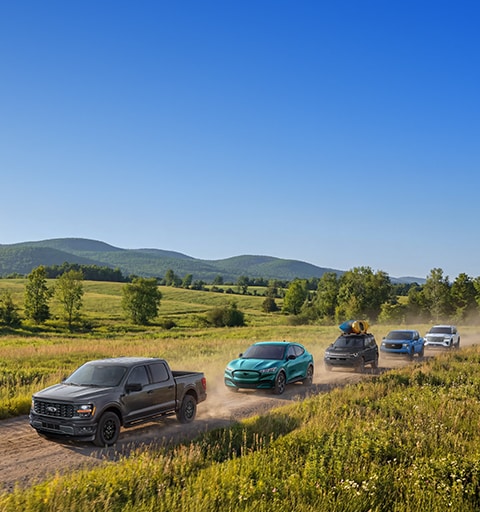 Obtenez de belles offres sur les Ford neufs.