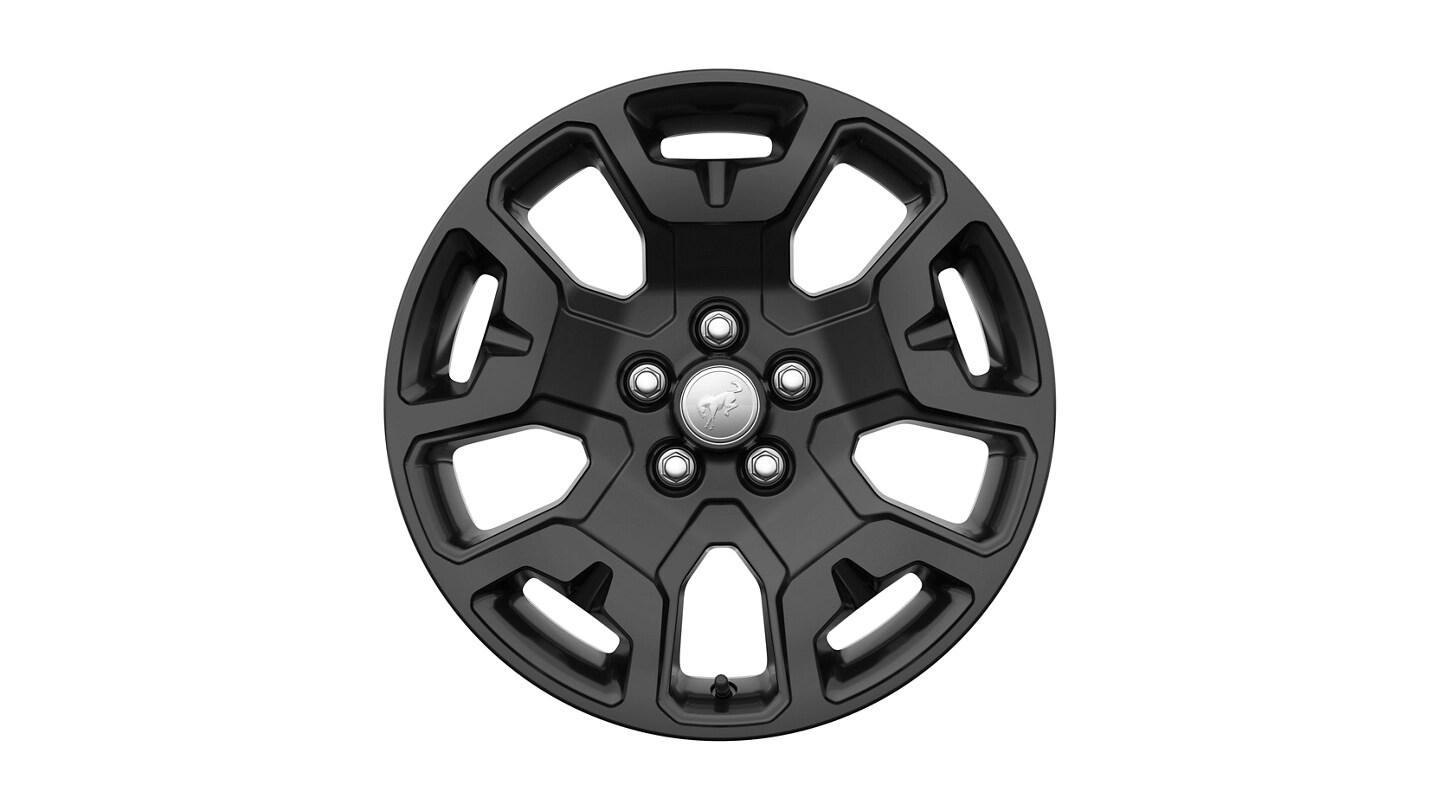 Jantes du Ford Bronco Sport® 2025 peintes en noir mat