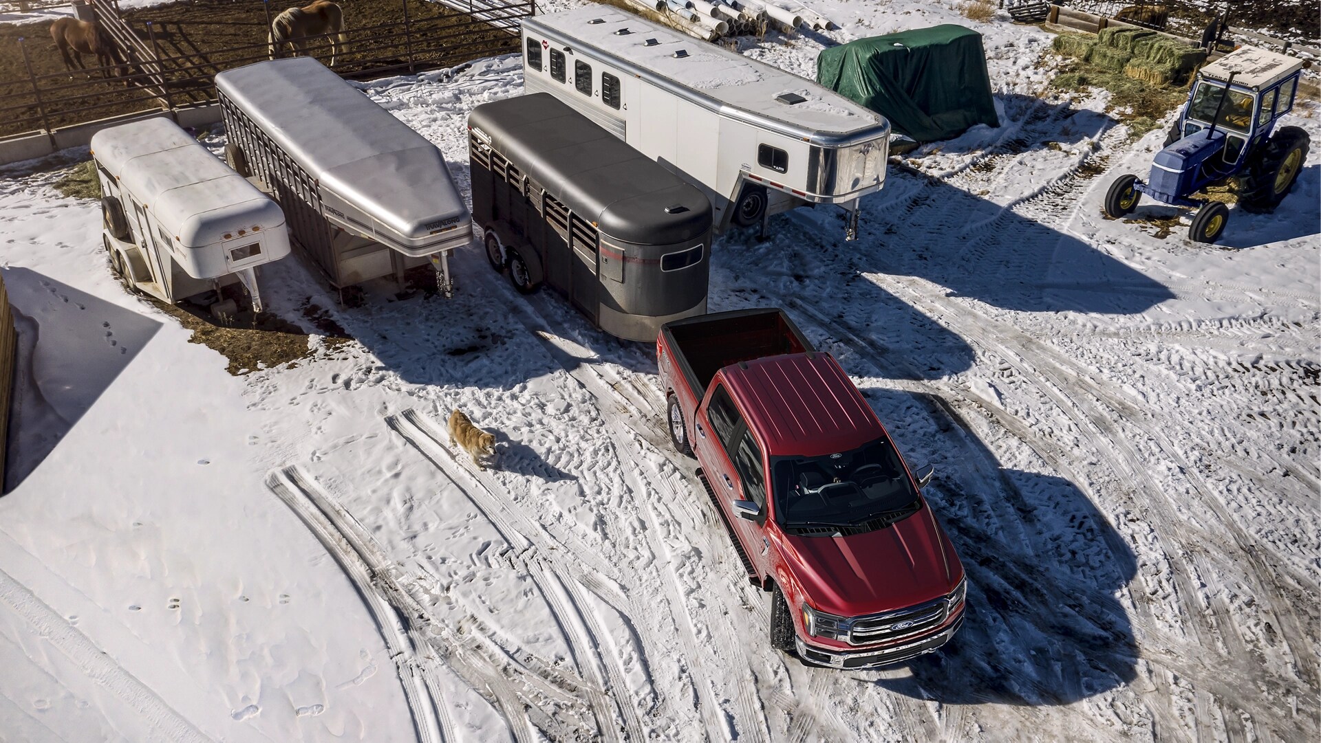 Camionnette Ford F-150® LARIAT® 2025 reculant d’une remorque à chevaux