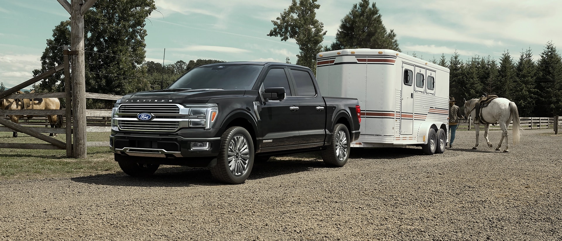 Ford F-150® Platinum® Plus 2025 attaché à une remorque à chevaux avec un cheval et une personne à l’arrière
