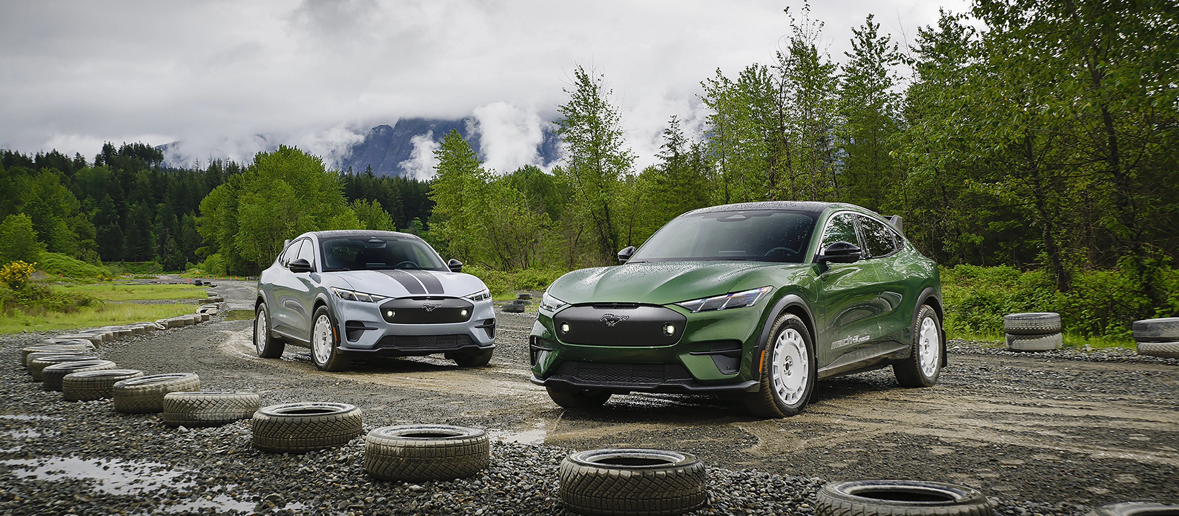 2025 Ford Mustang Mach-E® Rally