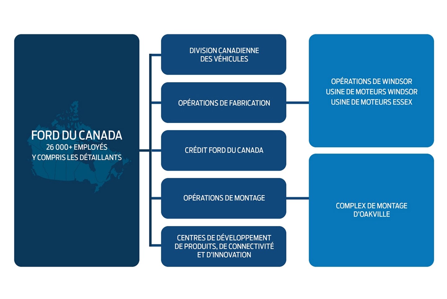 Infographie sur l'organisation de Ford Canada.