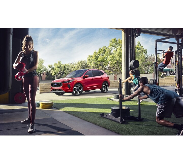 VUS Ford Escape® 2024 Prix, photos, caractéristiques et plus Ford.ca